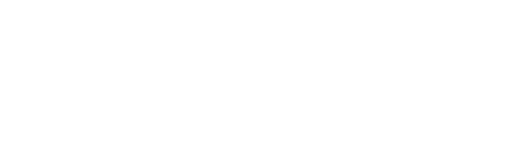 Ecosmart Fire
